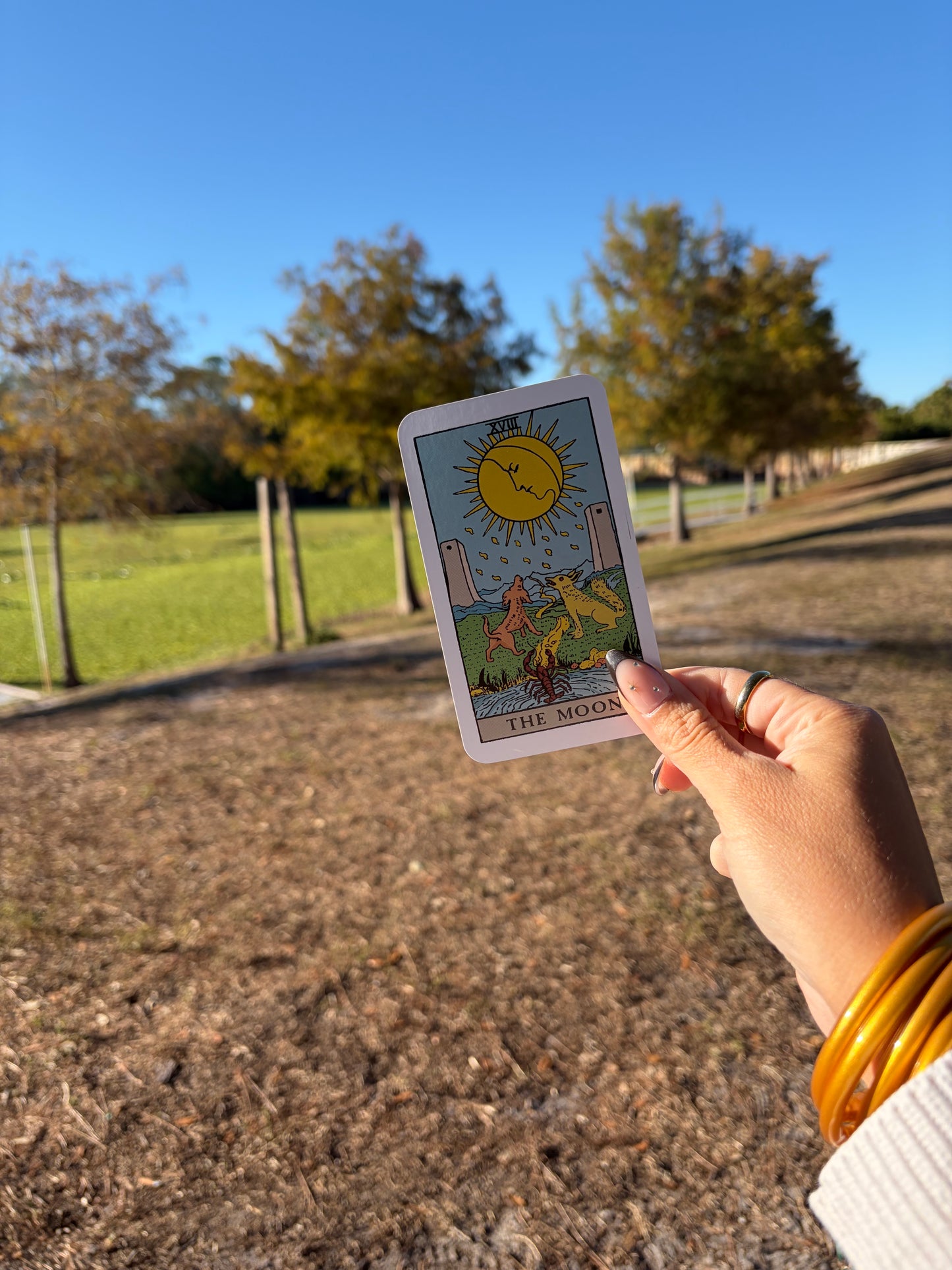 Mensaje de tarot personalizado - Lo que necesitas leer YA