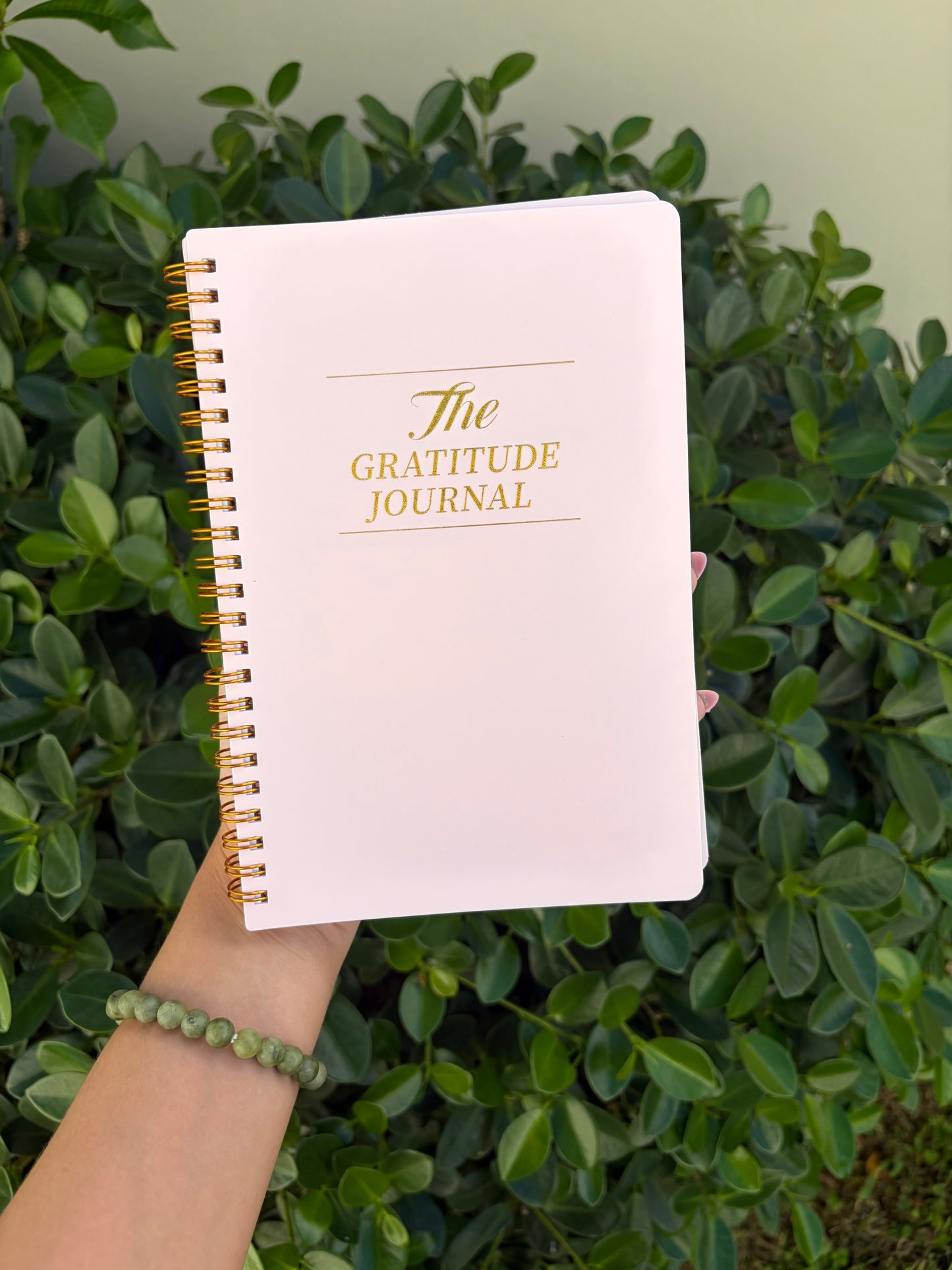 Gratitude Journal